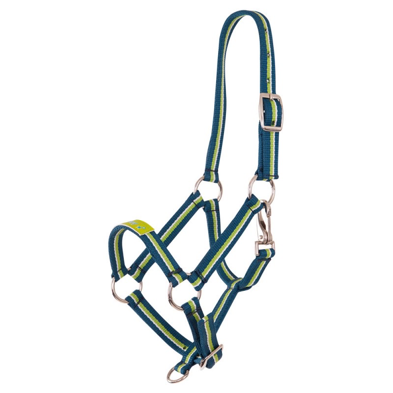 Premiere Veulenhalster Fun