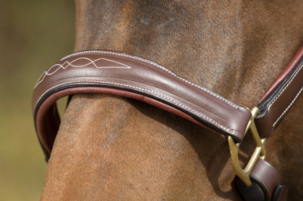 HFI Grooming Halster