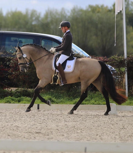 Maddelin Competitie Zadeldek