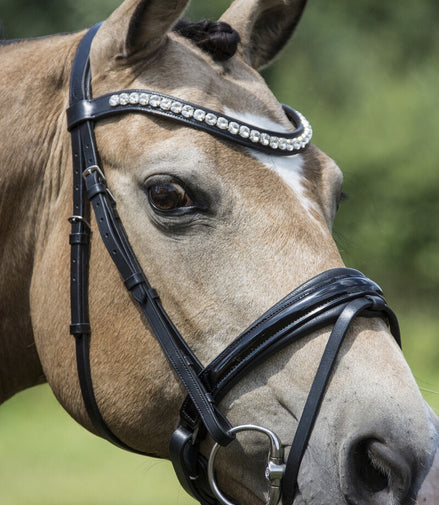 LJ Leathers Hoofdstel Argento Lak Aansnoer neusriem