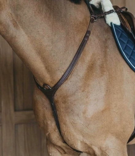 Dy'on Plaited Bridge breastplate