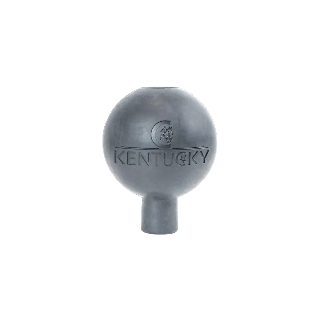 Kentucky Rubber Ball Protection wall & lead