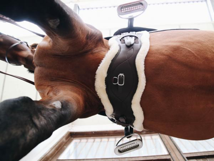 Kentucky Sheepskin Anatomische Singel Kort