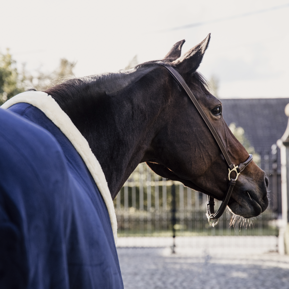 Kentucky Fleece Show Paardendeken Heavy