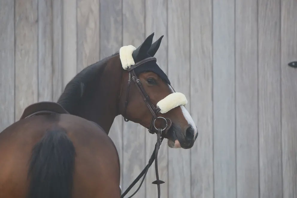 Kentucky Earnet Schwarz