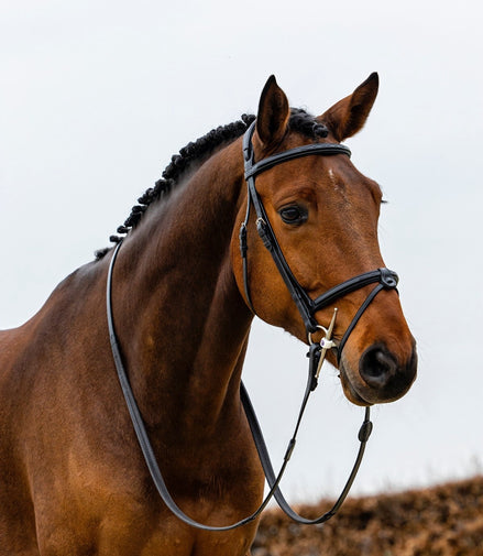 Trust Geneva Combined Noseband Hoofdstel