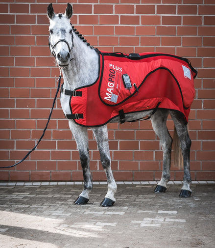 SportInnovations Therapyblanket MAGPRO Plus