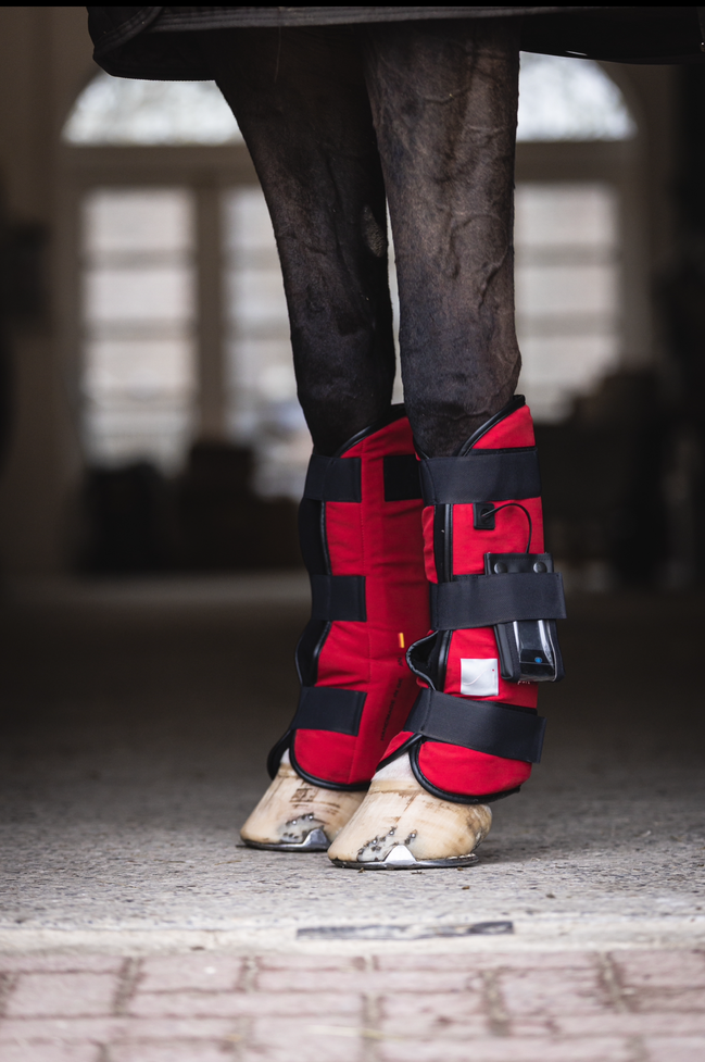 SportInnovations Pulsating magnetic leg wraps (1pair)