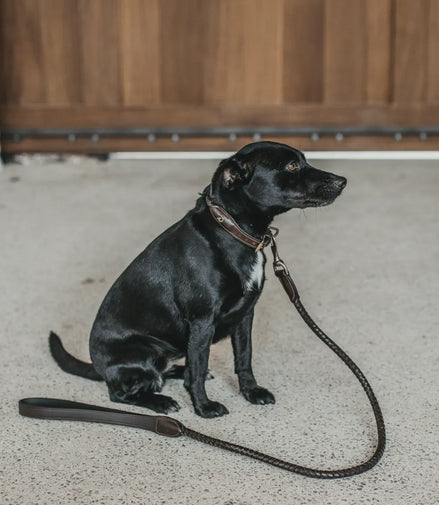 Dy'on Braided Dog Leash Brown 1m