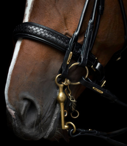 Utzon Olympic Stang & Trens Black Brass Browband With Clinchers Full