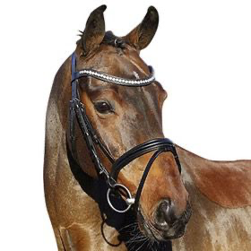 Euroriding Hoofdstel La Rochelle English Comb. Noseband