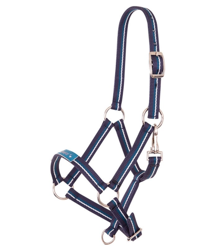 Premiere Veulenhalster Fun