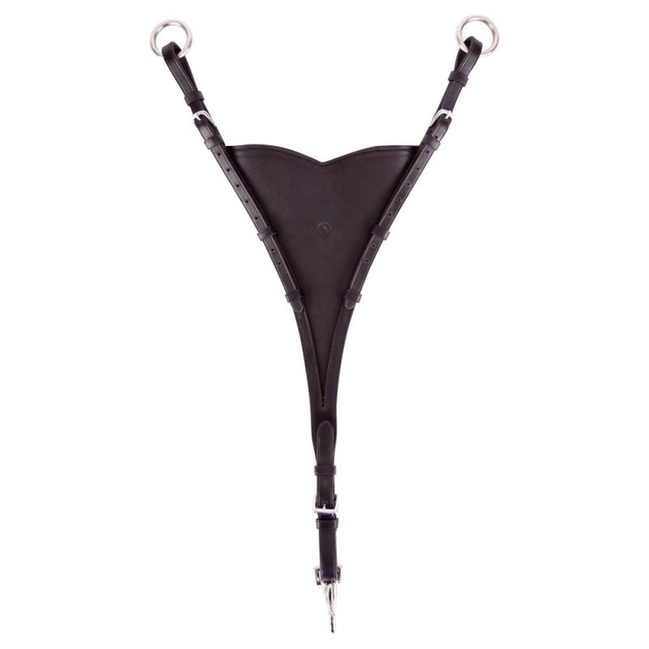 BR Martingale fork closed model