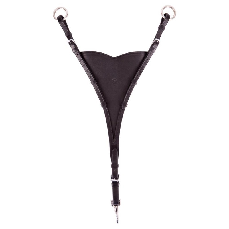 BR Martingale fork closed model