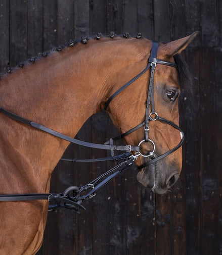 Rubber Bijzetteugels Zwart