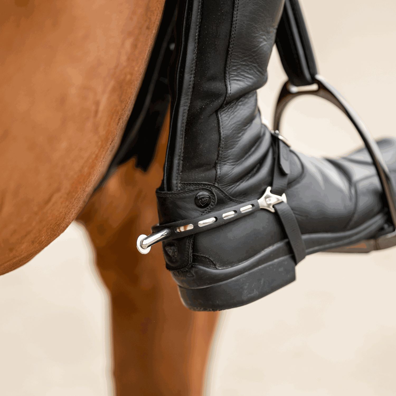 Sprenger Ultra fit Extra Grip spurs Little Round Rowel