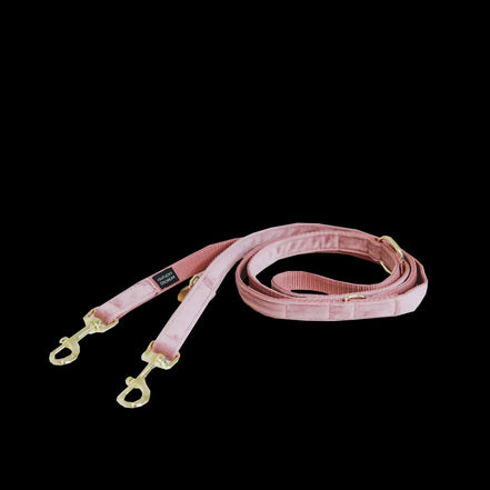 Kentucky Dog Leash Velvet Adjustable