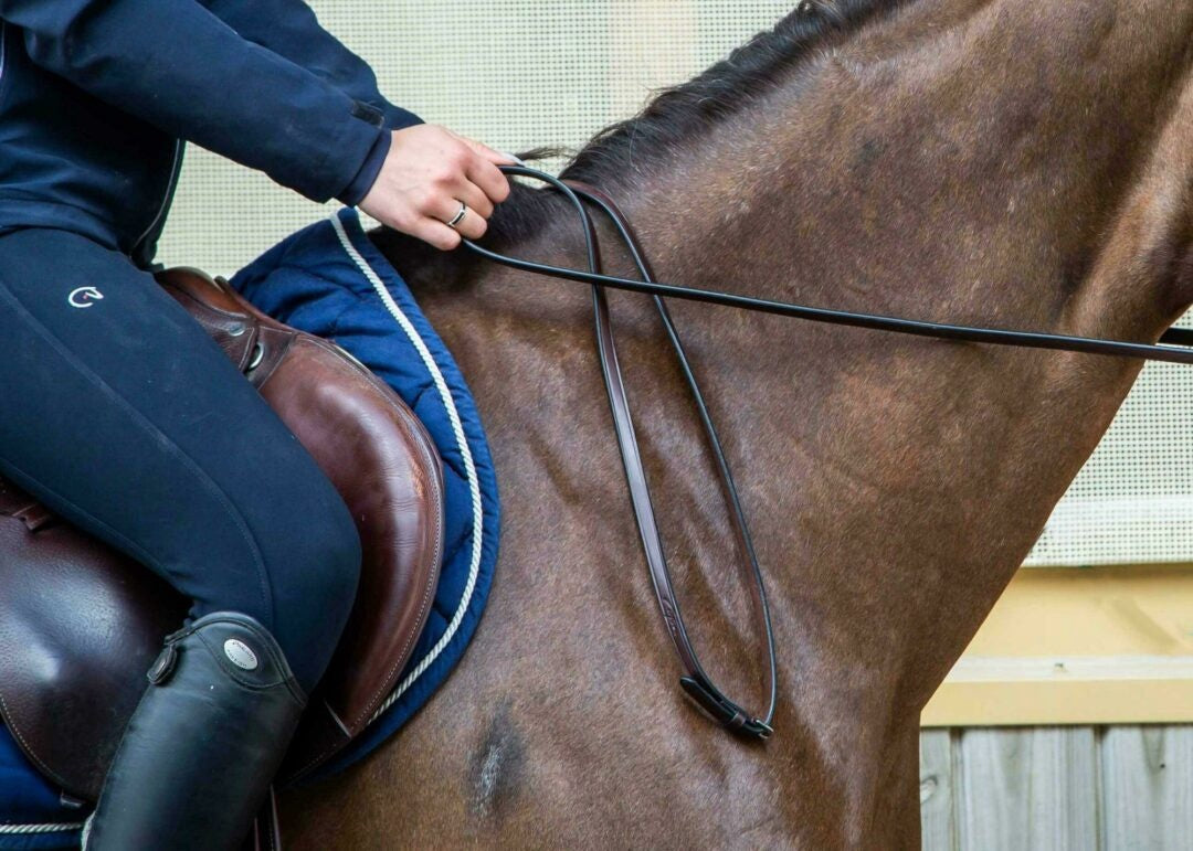 Dy'on 1/2 Full Leather Bar & Snaffle Reins