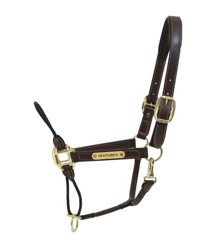Kentucky Leder Touw Halster