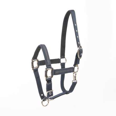 Lami-Cell Headcollar Galaxy