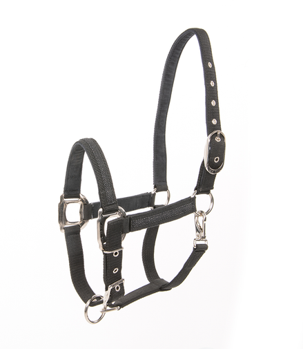 Lami-Cell Headcollar Galaxy