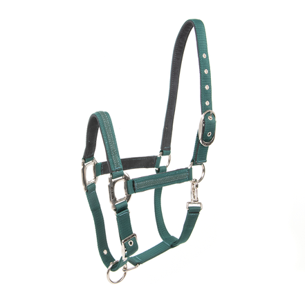 Lami-Cell Headcollar Galaxy