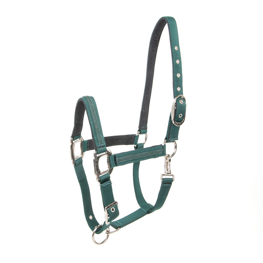 Lami-Cell Headcollar Galaxy
