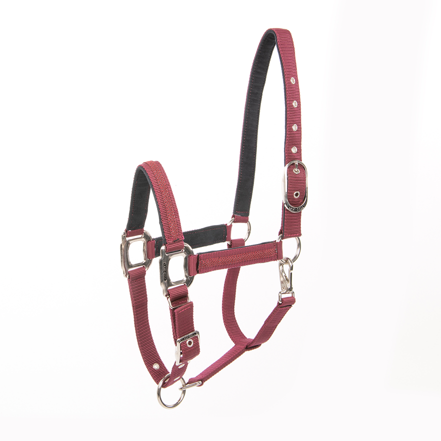 Lami-Cell Headcollar Galaxy