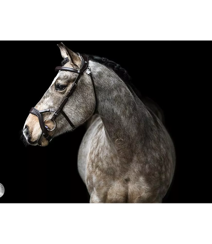 LJ Leathers Hoofdstel JACKSON