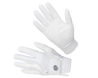 Samshield V Skin Blazon Handschoenen