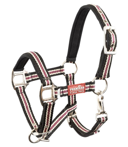 Premiere Veulenhalster Vivid