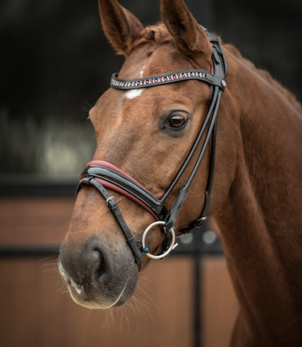 LJ Leathers Syana Stang En Trens Rongenaaid