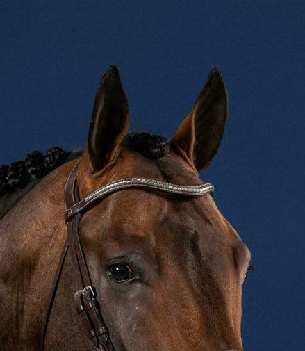 Dy'on Silver Clincher V-Shaped Browband Hunter