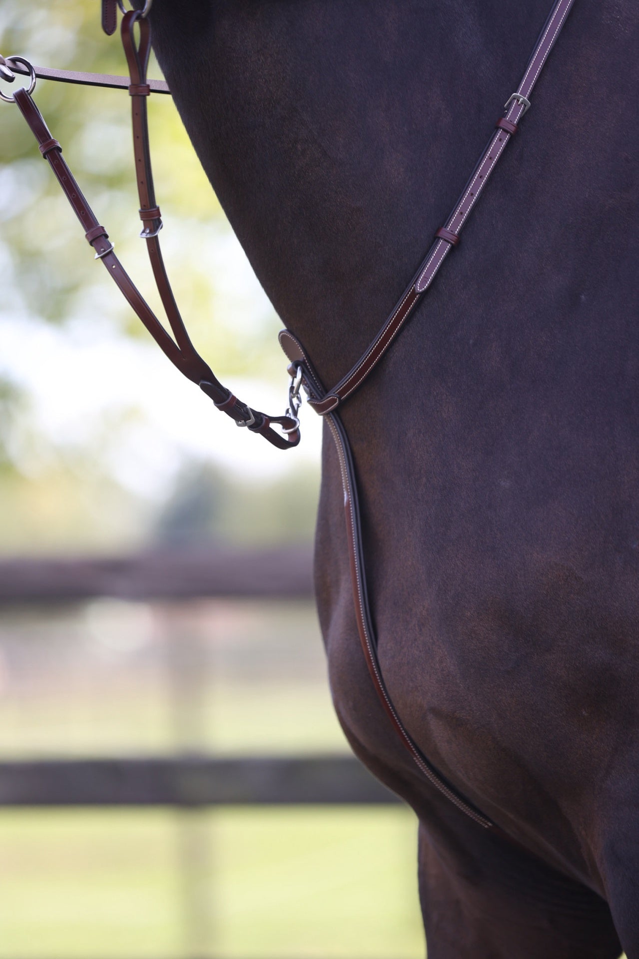 LJ Leathers Pro Selected Martingaal met rvs gespen