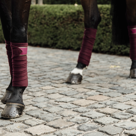 Kentucky Polar Fleece polos