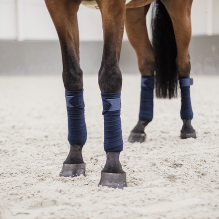 Kentucky Polar Fleece Glitter Polos