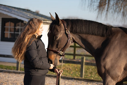 HFI Gevlochten Lederen Halster