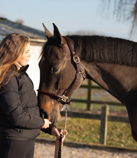 HFI Gevlochten Lederen Halster