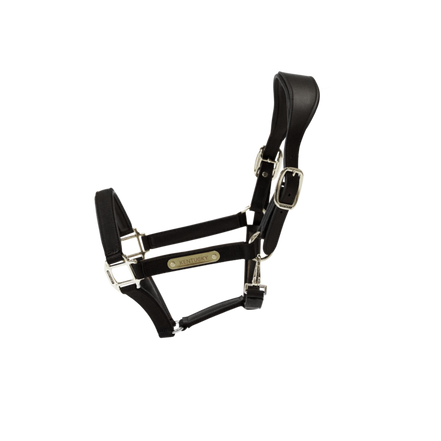 Kentucky Anatomische Nylonhantel