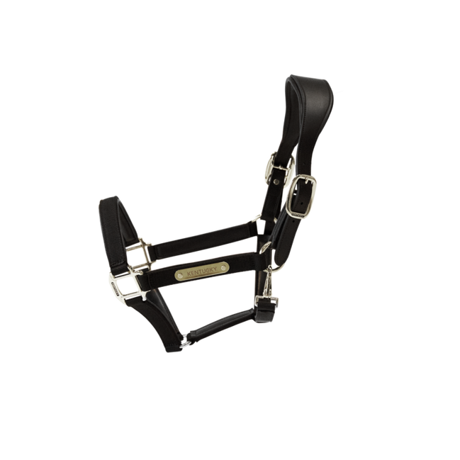 Kentucky Anatomische Nylonhantel