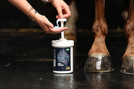 Cavalor Muscle Cooler