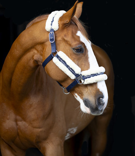 LJ Leathers Halster Nylon Met Vacht