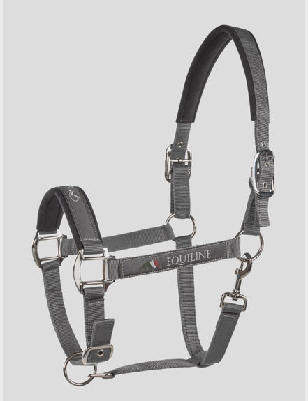 Equiline Halter Timmy