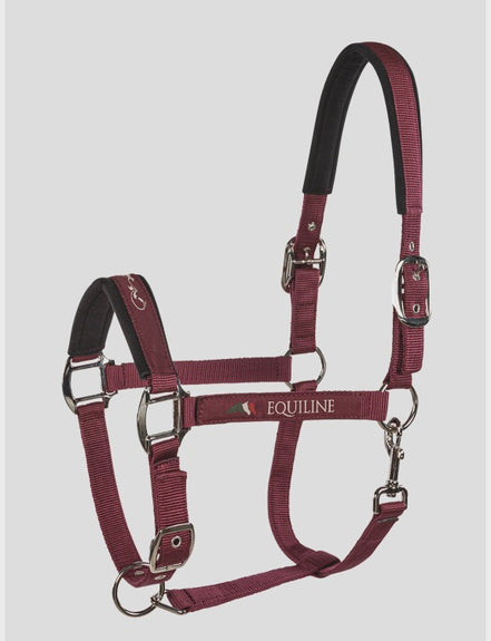 Equiline Halter Timmy