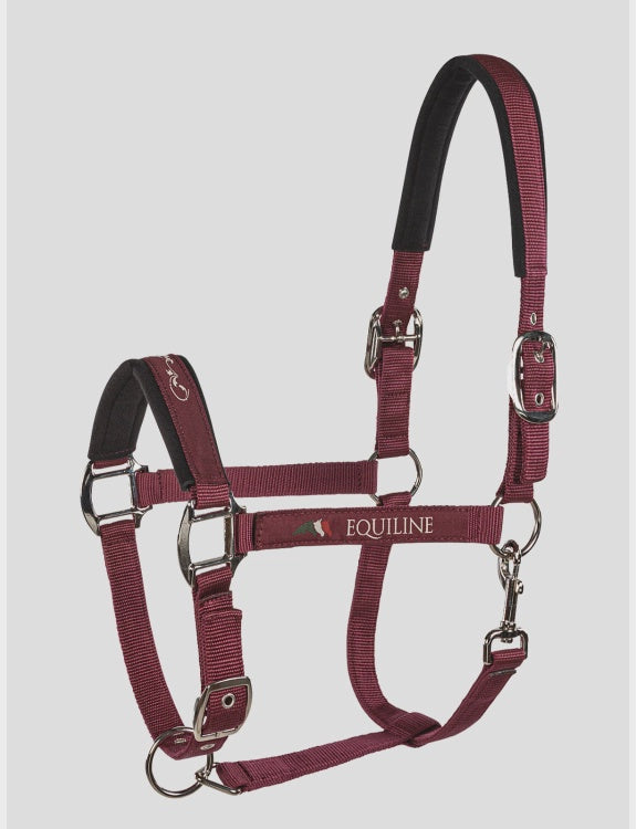 Equiline Halter Timmy