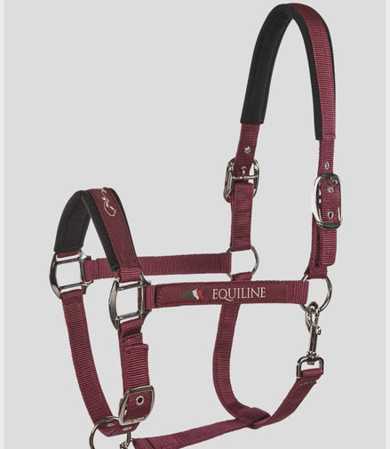 Equiline Halter Timmy