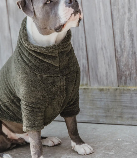 Kentucky Honden sweater Teddy Fleece