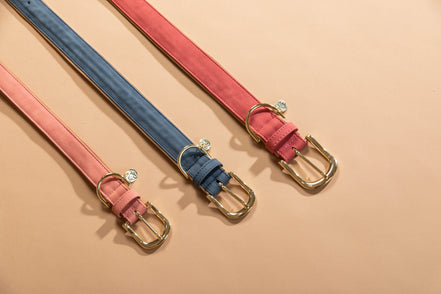 Kentucky Hondenhalsband Zacht Vegan Leder