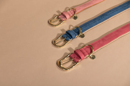 Kentucky Hondenhalsband Zacht Vegan Leder