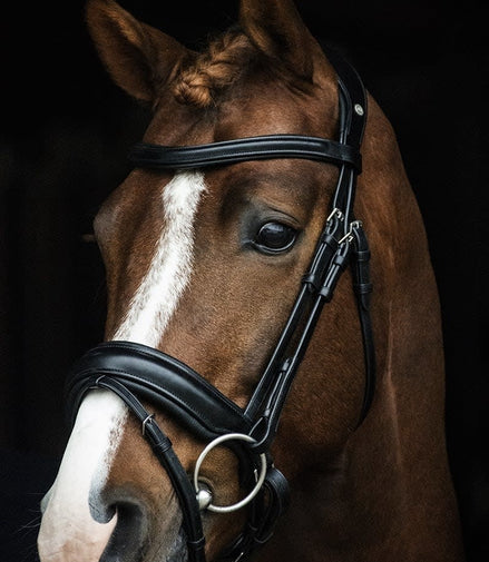 LJ Leathers Hoofdstel Superior